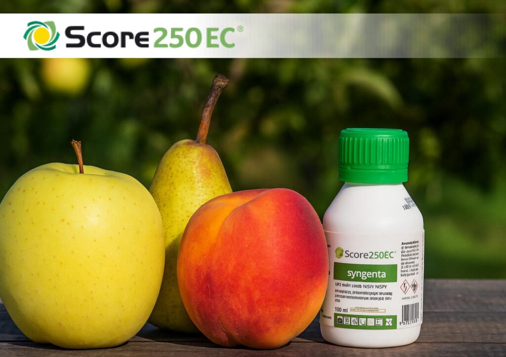 score_engedely_I